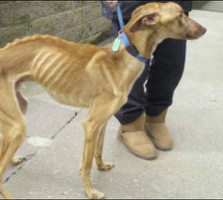 e9f6dbc5962366eaf5d9f86c6f155b4ddd663cae9a84235691pimgpsh_fullsize_distr